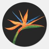 Sticker Rond Aquarelle Oiseau du Paradis (Devant)