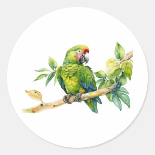 Sticker Rond Aquarelle Perroquet vert sur une branche d'arbre