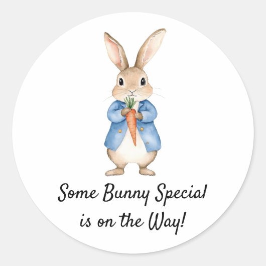 Sticker Rond Aquarelle Peter Rabbit Jardin Baby shower (Devant)