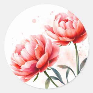 Sticker Rond Aquarelle pivoine en corail et blush