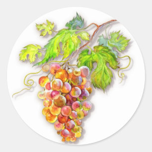 Sticker Rond Aquarelle Raisins & Feuilles Vertes – Art de la Ré