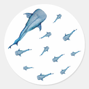 Sticker Rond Aquarelle requin