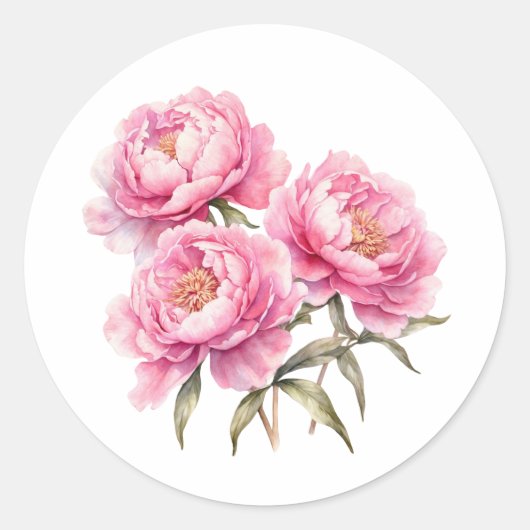 Sticker Rond Aquarelle rose pivoine Fleurs (Devant)
