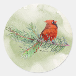 Sticker Rond Aquarelle rustique doux cardinal rouge