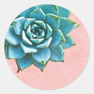 Sticker Rond Aquarelle Succulente Dentelle rose