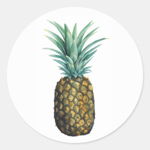 Sticker Rond Aquarelle tropicale à ananas