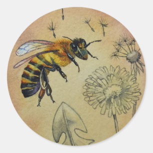 Sticker Rond Aquarelle Vintage no 4 Dandelion