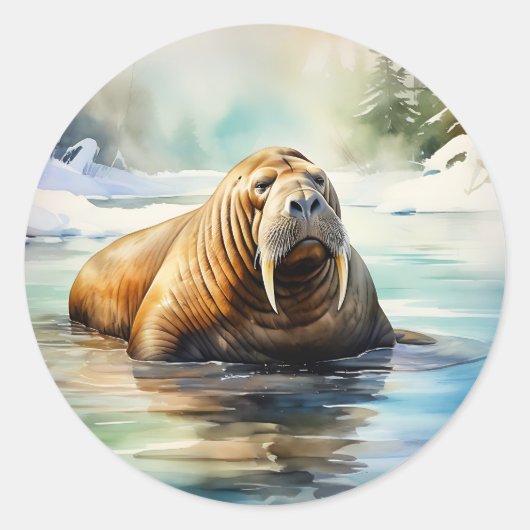 Sticker Rond Aquarelle Walrus Arctic (Devant)