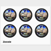 Sticker Rond Aquarium Poissons tropicaux et coraux (Feuille)