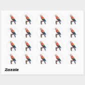 Sticker Rond Ara Canga Parrot (Feuille)