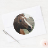 Sticker Rond Arabian au Pasture (Enveloppe)