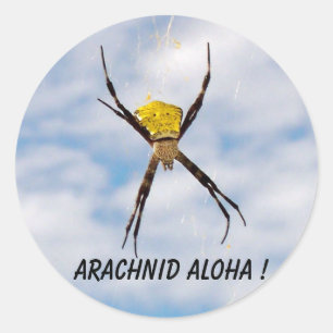 Sticker Rond Arachnid Aloha Hawaiian Garden Spider