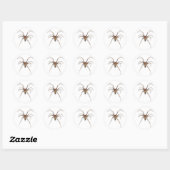 Sticker Rond Araignée (Feuille)