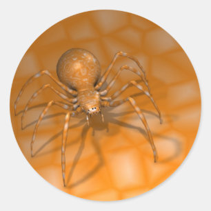 Sticker Rond Araignée orange