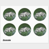 Sticker Rond Araignée sauteuse Metaphid (Feuille)