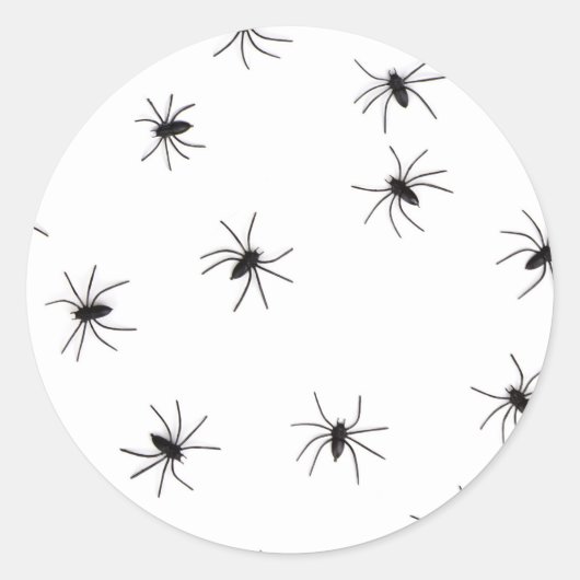 Sticker Rond araignées (Devant)