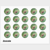 Sticker Rond Araneus - Orb Weaver Spider (Feuille)