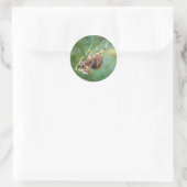 Sticker Rond Araneus - Orb Weaver Spider (Sac)