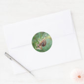 Sticker Rond Araneus - Orb Weaver Spider (Enveloppe)