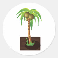 Arbre à coco QPC