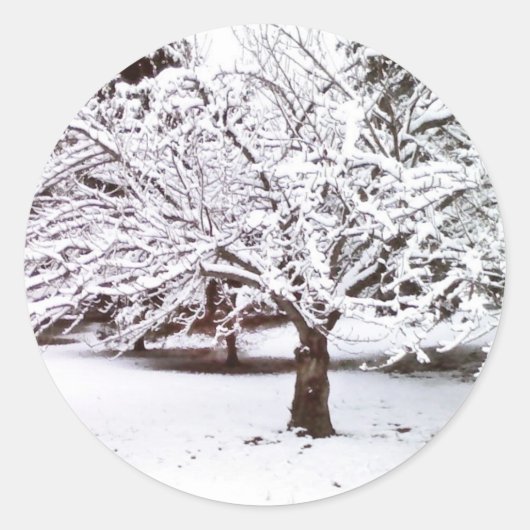 Sticker Rond Arbre à neige (Devant)