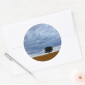 Sticker Rond Arbre dans un champ vide (Enveloppe)