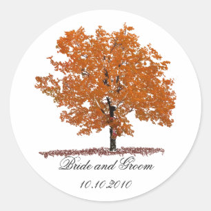Sticker Rond Arbre d'automne