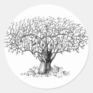 Sticker Rond Arbre de la vie - animaux