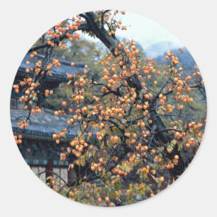 Sticker Rond Arbre de Persimmons, chute