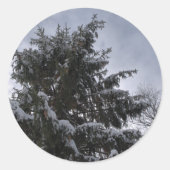 Sticker Rond Arbre d'épinette couvert de neige (Devant)