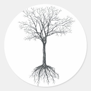 Sticker Rond Arbre sans feuille