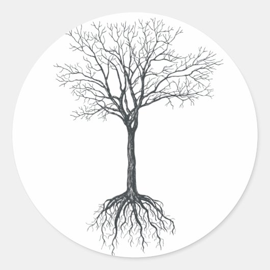 Sticker Rond Arbre sans feuille (Devant)