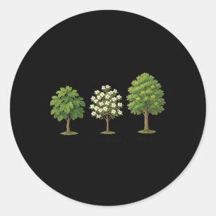 Sticker Rond Arbre subtil Anti Trump Chemise Arbre Figues Dogwo