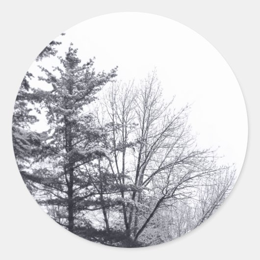 Sticker Rond Arbres couverts de neige Photo hivernale (Devant)