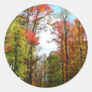Sticker Rond Arbres d'automne et ciel bleu Photographie de la n