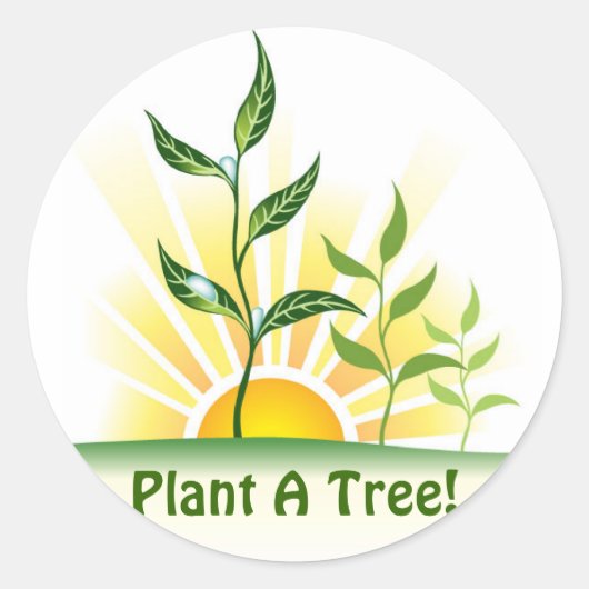 Sticker Rond Arbres futurs (Devant)