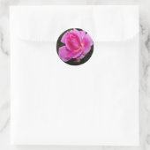 Sticker Rond Arbustes de beauté insouciants Rose 'Bucbi' Fleurs (Sac)