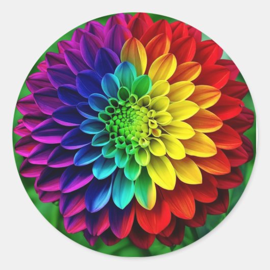 Sticker Rond Arc-en-ciel - Dahlia colorée (Devant)