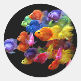 Sticker Rond Arc-en-ciel de poisson perroquet