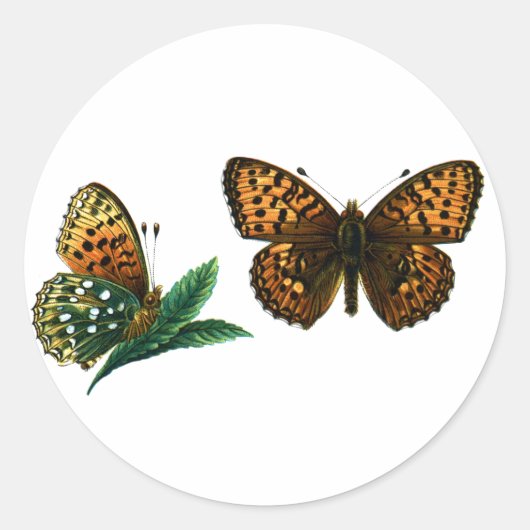 Sticker Rond Argynnis aglaja (Devant)