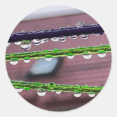 Sticker Rond Arrosage sur cordes (Devant)