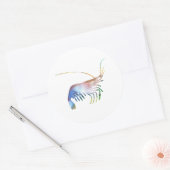Sticker Rond Art de crevettes (Enveloppe)