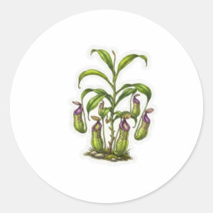 Sticker Rond Art de la plante exotique Pitcher - Carnivore indo