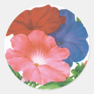 Sticker Rond Art de l'étiquette de paquet de graines vintage, f