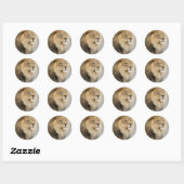 Sticker Rond art des lions (Feuille)