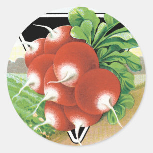Sticker Rond Art d'étiquette de paquet de graines vintage, radi