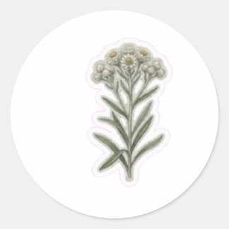 Sticker Rond Art élégant de la fleur Edelweiss - Rare floraison
