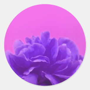 Sticker Rond Art Floral pourpre et framboise