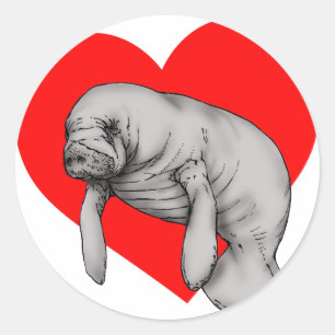 Sticker Rond art manatee