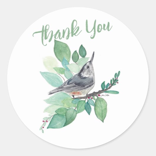 Sticker Rond Art Nuthatch à poitrine blanche (Devant)